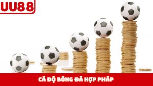 Cá Độ Bóng Đá Hợp Pháp